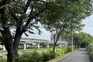 용인특례시, 유림동 일대 경안천 제방 환경개선 사업 완료