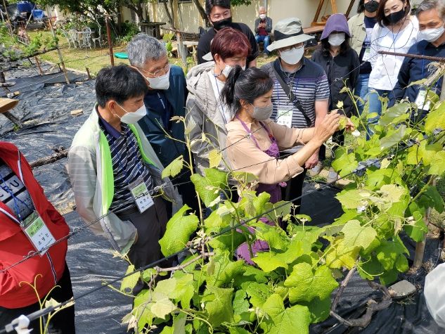 신규농업인교육(포도나무순지르기)