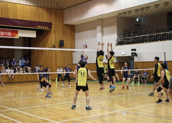 통영시 전국 동호인 배구대회, 테니스대회, 배드민턴대회 개최