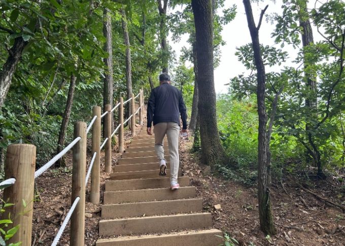 율면 마이산 등산로 정비 완료