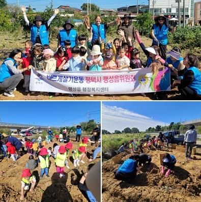 바르게살기운동 평택시 팽성읍위원회, 고구마 수확 행사