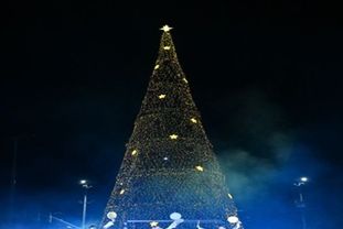 겨울밤을 밝히는 불빛, 구리 2025 크리스마스트리 점등식 개최