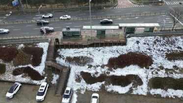 용인특례시, 수지구 성복동에 미세먼지 차단숲 조성