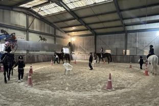 용인특례시, '학생승마체험' 참가자 1339명 모집