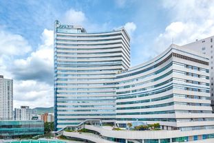 코딩 몰라도 만들었다…경기도 공무원의 '제로 예산' 계약심사 혁신