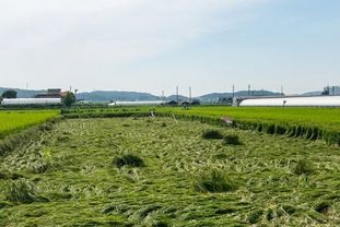 "자연재해 미리 대비하세요" 안성시, 농작물재해보험 가입 독려