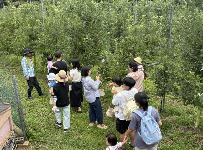 양평군육아종합지원센터, ‘루비숲 가족 농촌체험 프로그램’ 성료