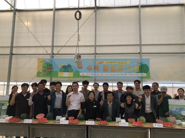 양평군, 수박 신품종 육성 및 기술보급 위한 품질평가회 개최