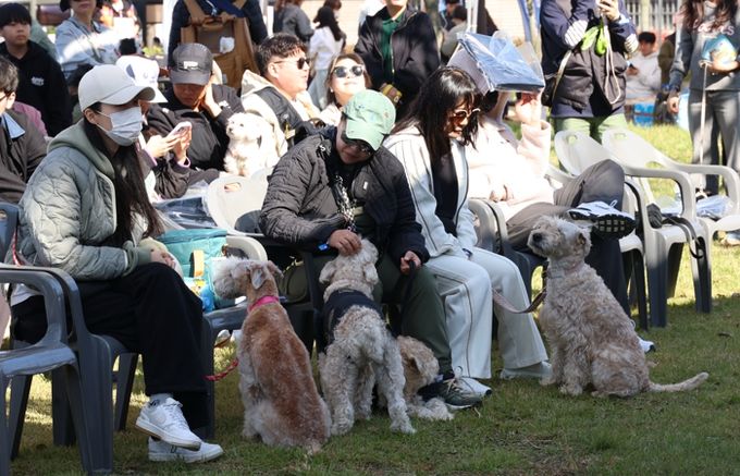 여러 종의 애견들이 주인들과 함께 휴식을 취하고 있다.
