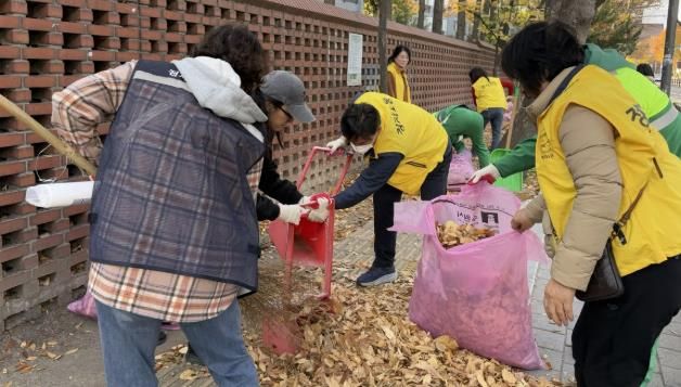 수원시 장안구 정자1동, 가을맞이 낙엽 대청소 실시