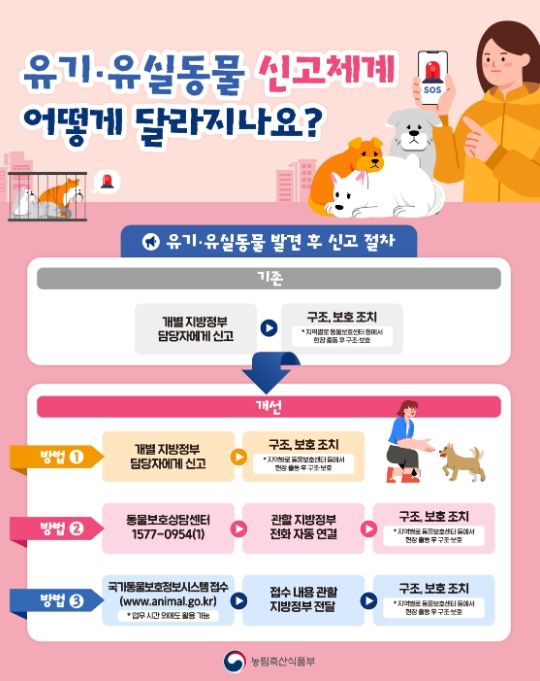 유기‧유실동물 신고체계 개선 내용