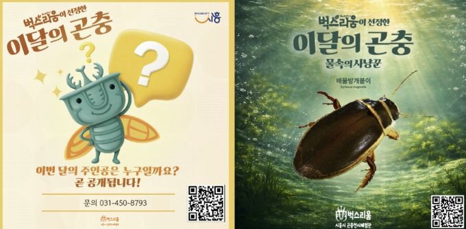 곤충전시체험관 벅스리움, 5일부터 신규 전시 '이달의 곤충' 운영