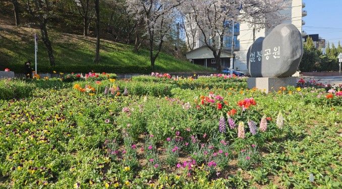 이천시, 설봉공원 봄맞이 초화류 식재 완료
