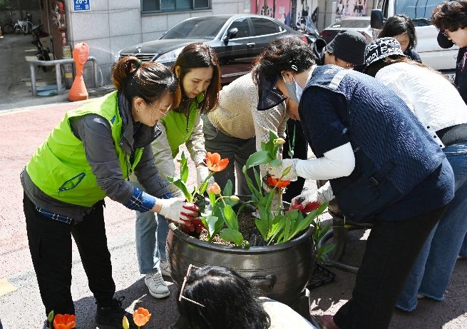 수원시 영통구 매탄4동, 통장협의회와 함께 손바닥 정원 초화 식재 실시